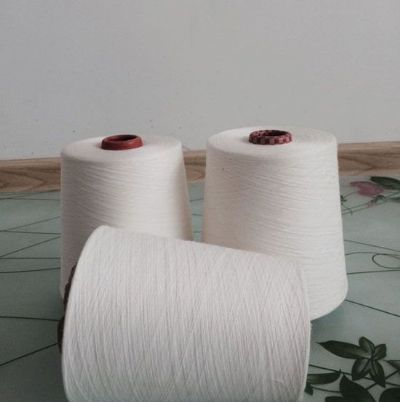 點擊查看詳細信息<br>標題：緊密賽絡紡棉粘紗 閱讀次數：1915